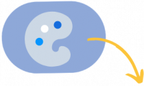 personalizzazione VEM: Software intelligente per ottici ed optometristi